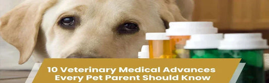 10 Veterinary Medical Advances Every Pet Parent Should Know