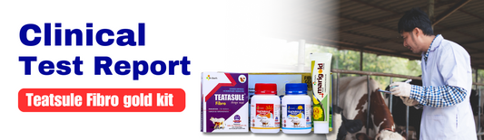 EFFICACY OF HOMEOPATHIC DRUG (TEATASULE FIBRO GOLD KIT) IN FIBROSED MASTITIS OF DAIRY COW