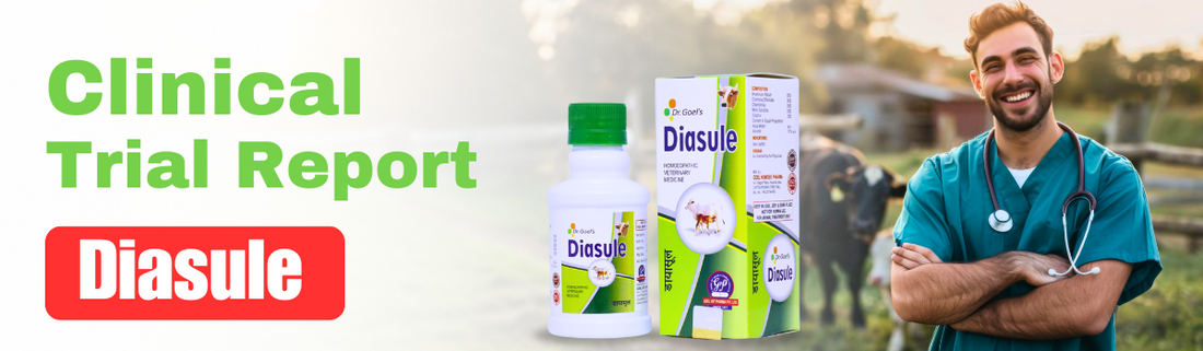 TREATMENT OF CHRONIC DIARRHOEA IN EQUINE WITH HOMEOPATHIC DRUG (DIASULE)