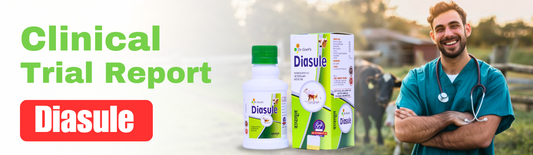 TREATMENT OF CHRONIC DIARRHOEA IN EQUINE WITH HOMEOPATHIC DRUG (DIASULE)
