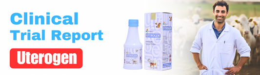 Prophylactic Management of Post Parturient Reproductive Disorders in Dairy Animals with Homoeopathic Uterine Tonic- UTEROGEN