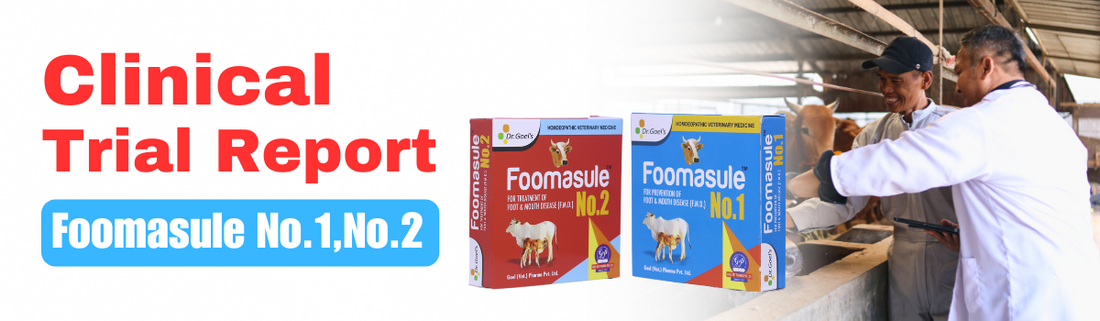 Title: Effect of homeopathic-biochemic medicine in the prevention and treatment of foot and mouth disease in cattle.