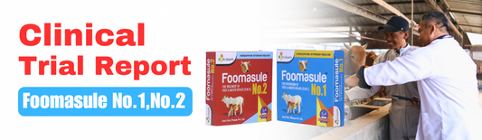 Title: Effect of homeopathic-biochemic medicine in the prevention and treatment of foot and mouth disease in cattle.