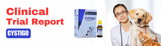 ASSESSING THE AMELIORATIVE EFFECTS OF CYSTIGO ON URINARY  CELLULAR BIOMARKERS IN CANINES' CYSTITIS: A STUDY OF HOMEOPATHIC INTERVENTION