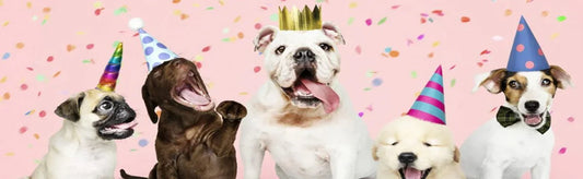 CHRISTMAS AND PAW PRINTIS' THE SEASON TO BE JOLLY!