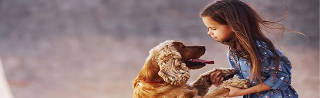 Celebrating Raksha Bandhan: Strenthening The Bond With Our Furry Friends