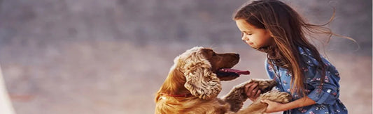 Celebrating Raksha Bandhan: Strenthening The Bond With Our Furry Friends