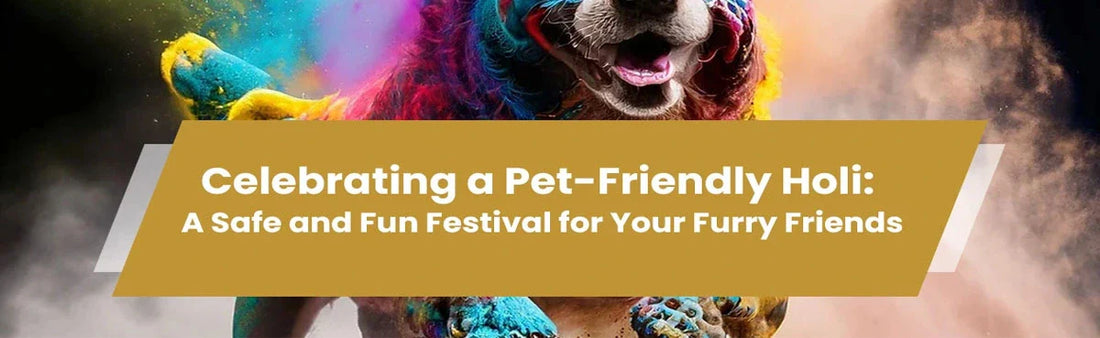 Celebrating a Pet-Friendly Holi: A Safe and Fun Festival for Your Furry Friends