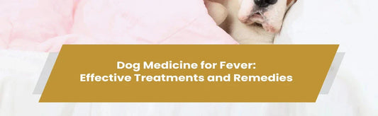 Dog Medicine for Fever: Effective Treatments and Remedies