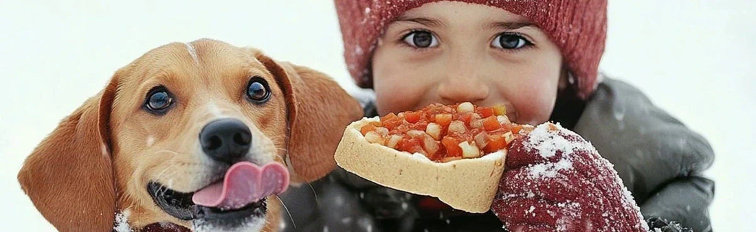 Paws And Snowflakes: Winter Care For Dogs