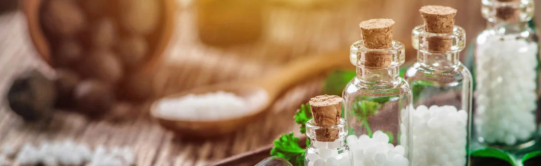 Homeopathy 101 for Dog Owners: Understanding How it Works and When to Use It