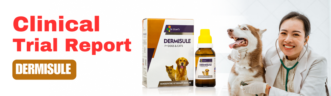 Generalised Pyodemodicosis with Warts