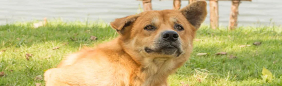 The Summer Cool: skin problems and signals you shouldn’t Ignore!