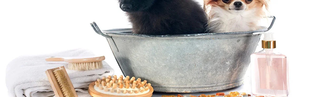 The Ultimate Guide to Essential Pet Grooming Products