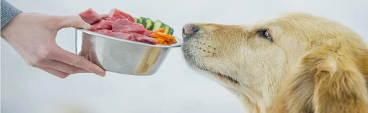 The Ultimate Guide to Healthy Food for Dogs
