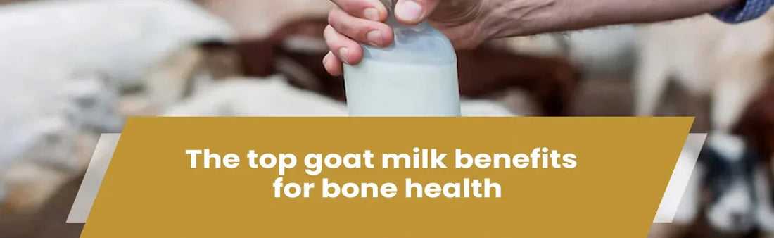 Top Goat Milk Benefits for Bone Health: Nutritional Facts