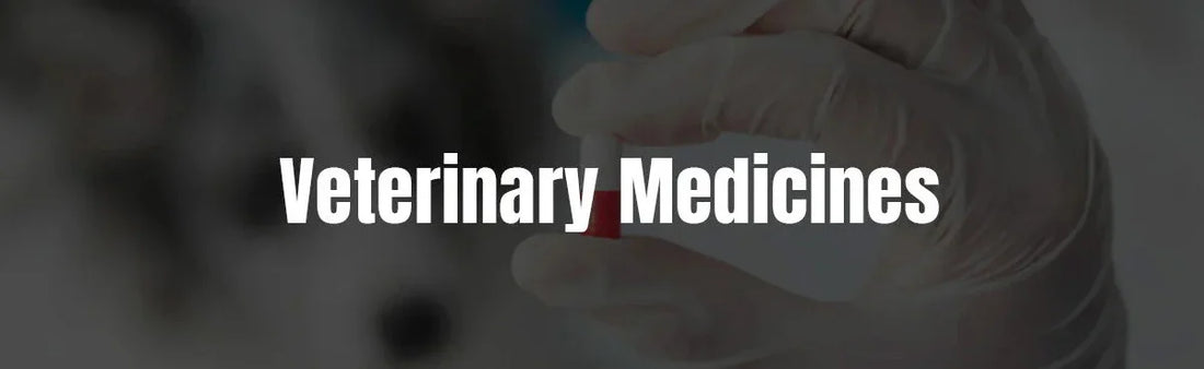 Top Veterinary Medicines for Common Pet Diseases