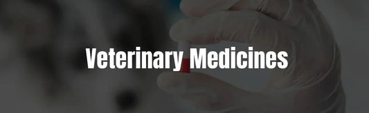 Top Veterinary Medicines for Common Pet Diseases