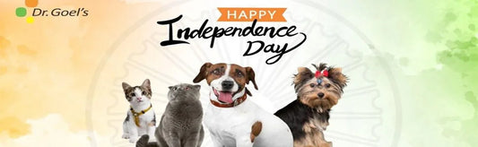 Unleashing Freedom: Celebrating Independence Day 2023 with Your Furry Friend.