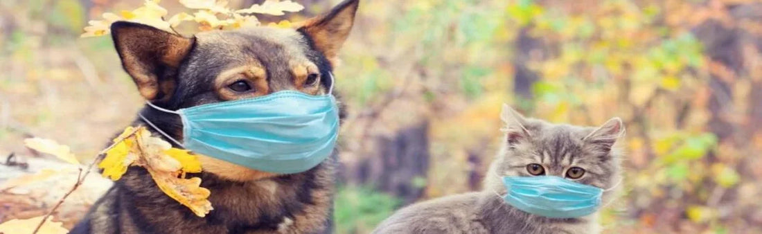 WHEEZ GO- ME & MY COUGH