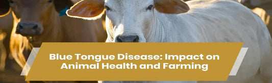 Blue Tongue Disease: Impact on Animal Health and Farming