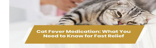 Cat Fever Medication What You Need to Know for Fast Relief