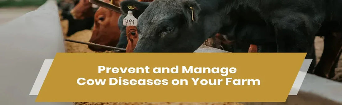 How to Prevent and Manage Cow Diseases on Your Farm