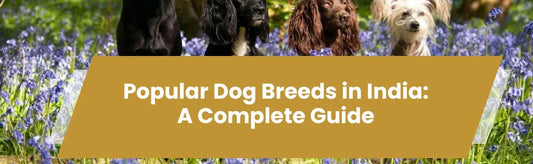 Popular Dog Breeds in India: A Complete Guide