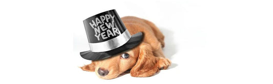 Peaceful New Year-Keeping Pets StressFree