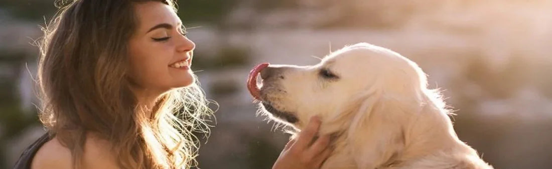 150+ Best All Types Pet Quotes to Share Your Love