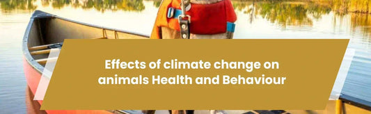 The Effects of Climate Change on Animals’ Health and Behaviour