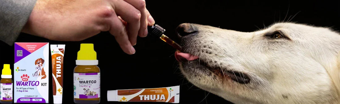 wartgo kit for pets