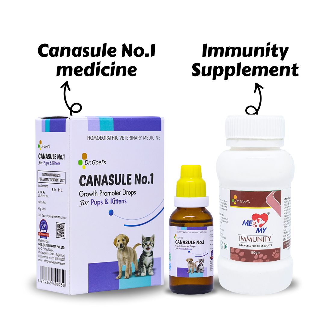 Boost Double Immunity Canasule No 1 + Me & My Immunity (Combo)