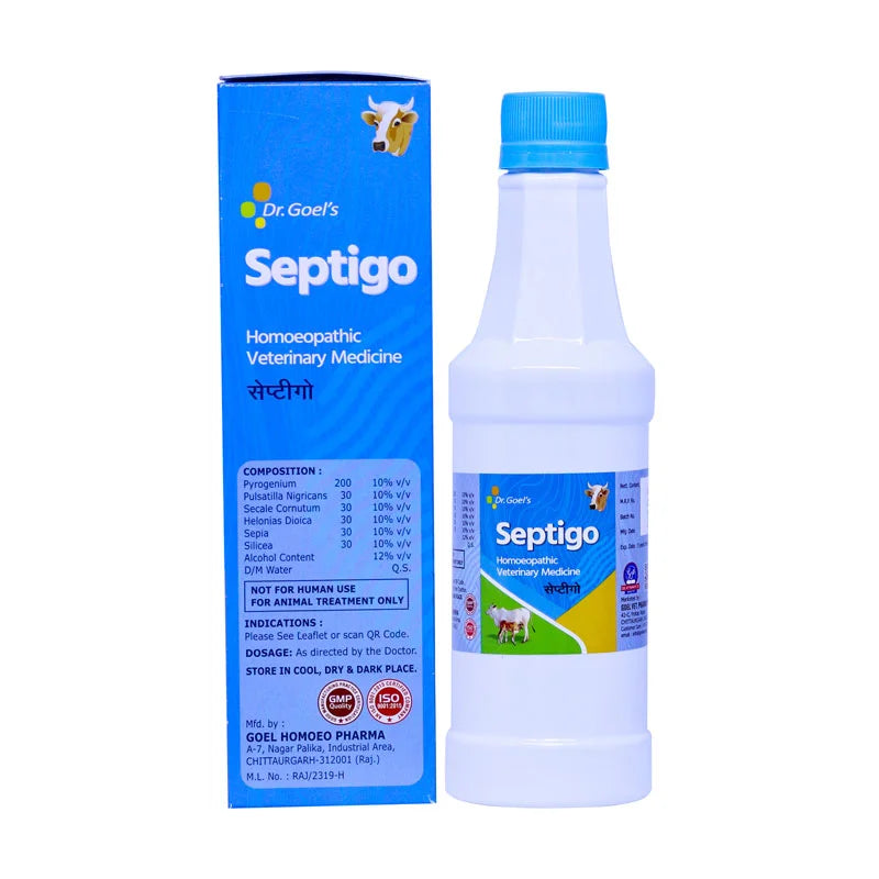 SEPTIGO for CATTLE For All Type of Septic Condition