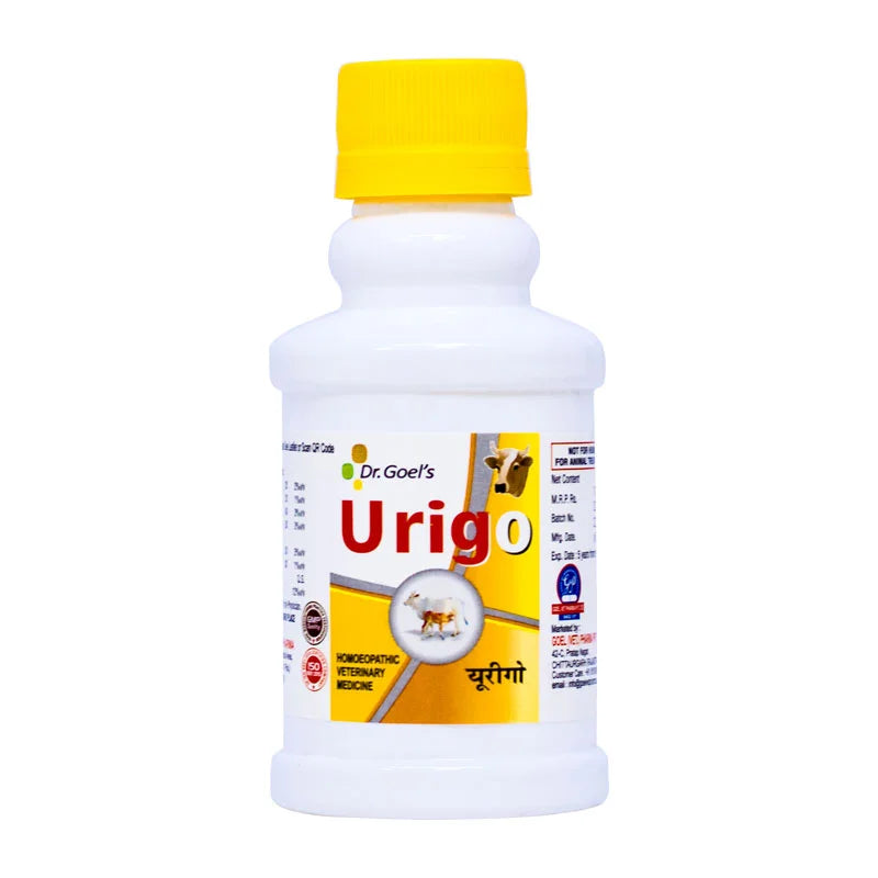 URIGO for CATTLE – 100ml For Urinary Track Infection
