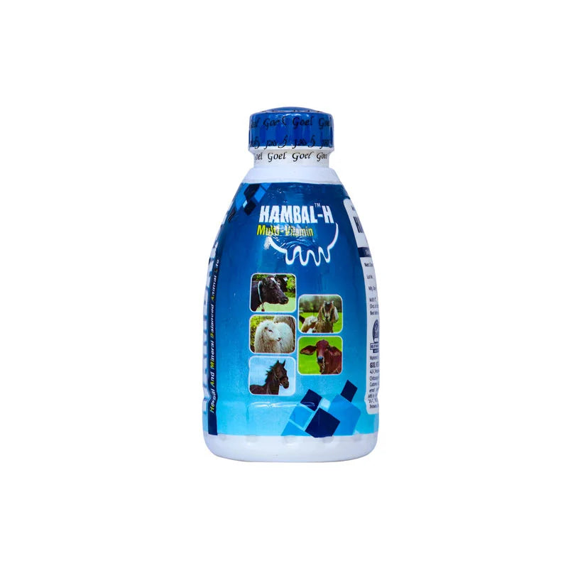 HAMBAL H 500ML Vitamin H for Cattle