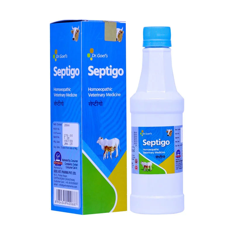 SEPTIGO for CATTLE For All Type of Septic Condition