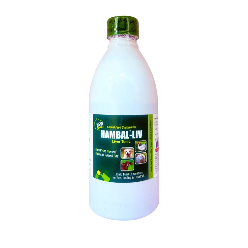 HAMBAL LIV 200ML Liver Tonic for Cattle