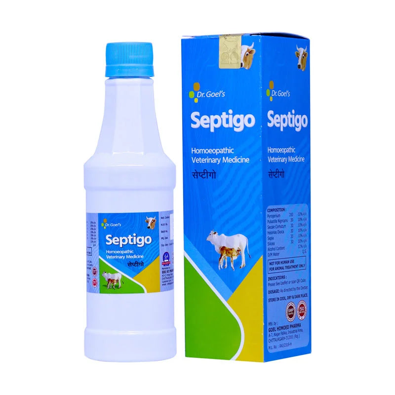 SEPTIGO for CATTLE For All Type of Septic Condition
