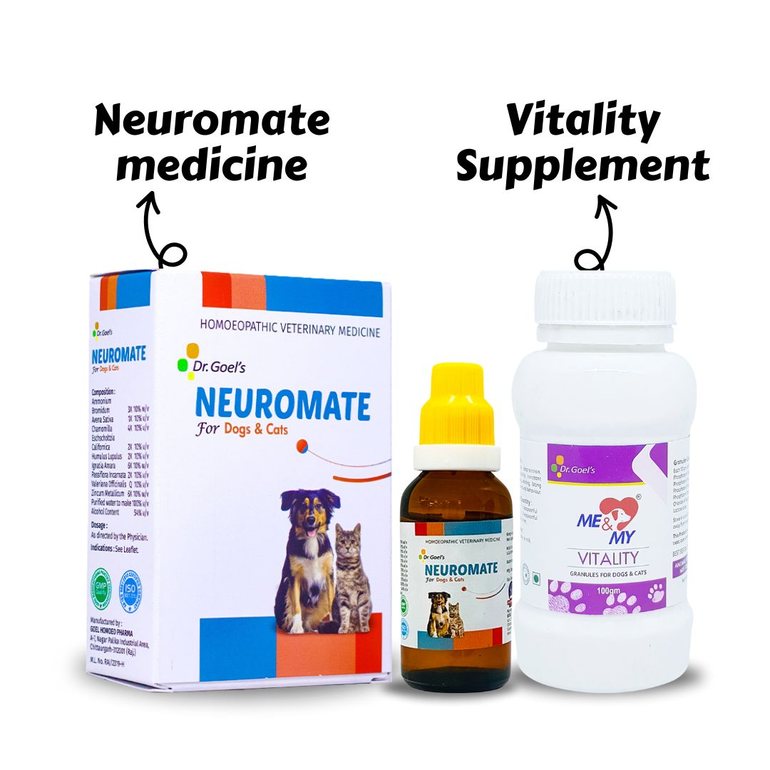Double Attack On Epilepsy & Seizure Disorder Neuromate + Me & My Vitality (Combo)