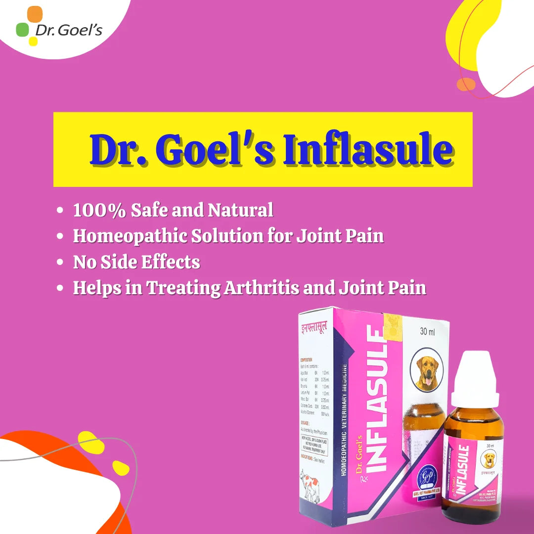  Double Attack On Joint Pains Inflasule + Me & My Mobility (Combo)