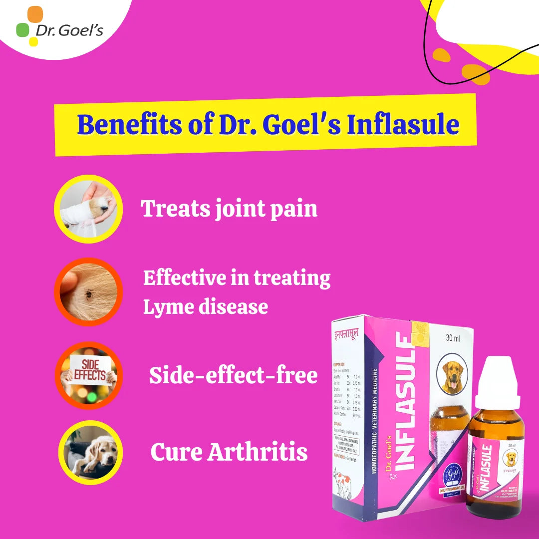  Double Attack On Joint Pains Inflasule + Me & My Mobility (Combo)