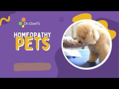 Dr. Goel's Homeopathy For Pets #homeopathy #pets #viral #homeopathyforpets #homeopathyinveterinary