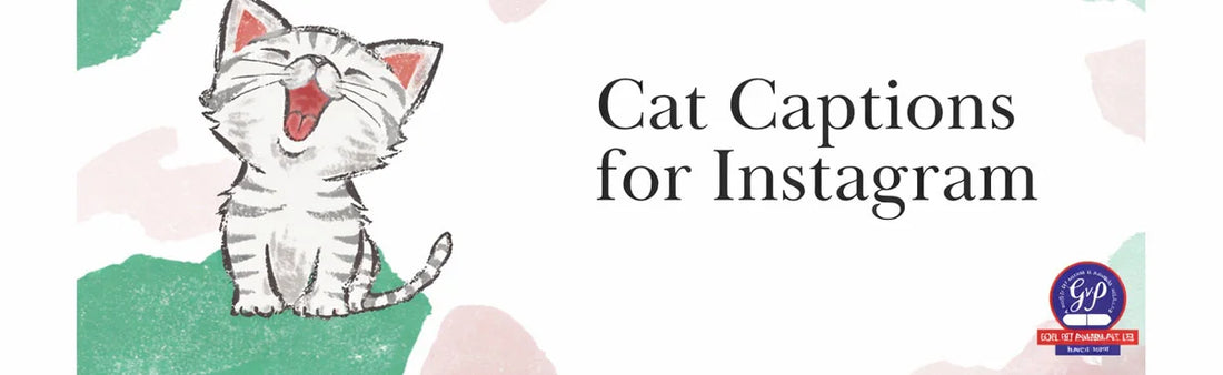 Cat Captions for Instagram