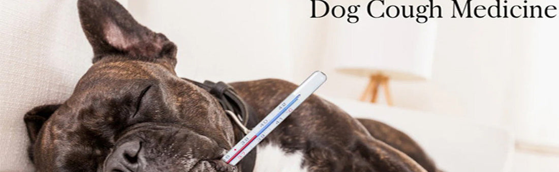 cough syrup for dogs