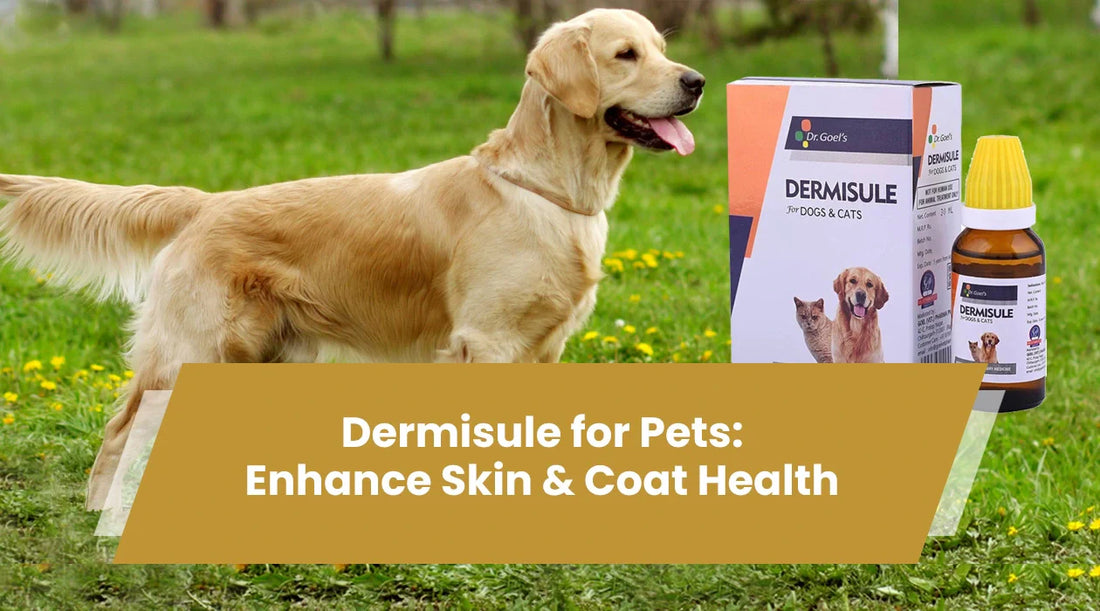 Dermisule for pets