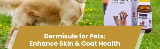 Dermisule for pets