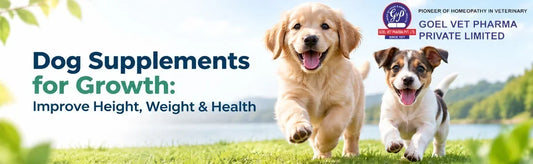 dog supplements for growth