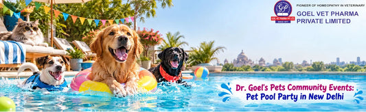 Pet Pool Party