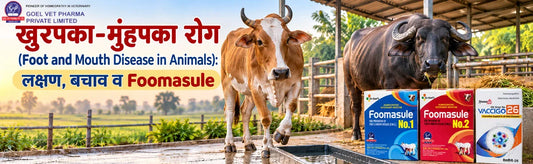 Foot and Mouth Disease in Animals